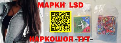 гашик Сланцы