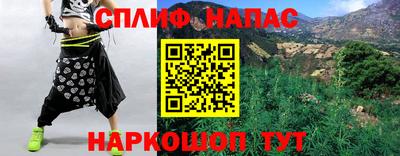 гашик Сланцы