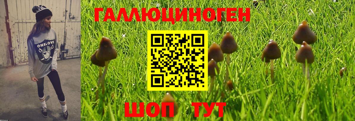 Галлюциногенные грибы мухоморы Великие Луки