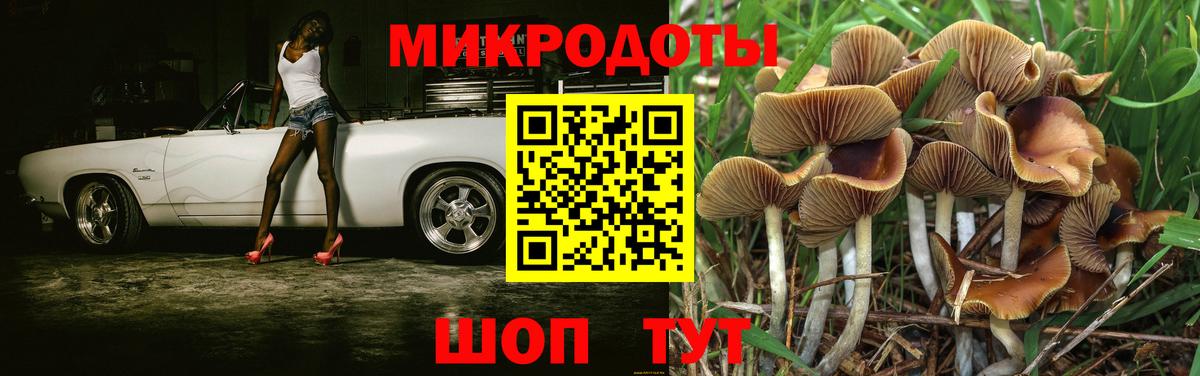 наркотики  Галлюциногенные грибы Psilocybine cubensis  Вход с VPN  Великие Луки 